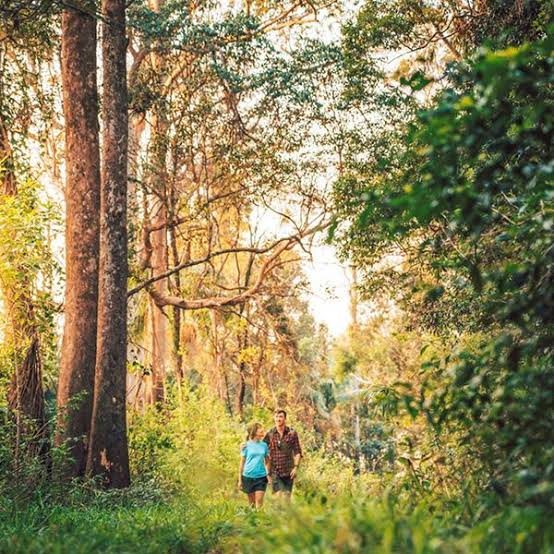 Noosa Biosphere Trails