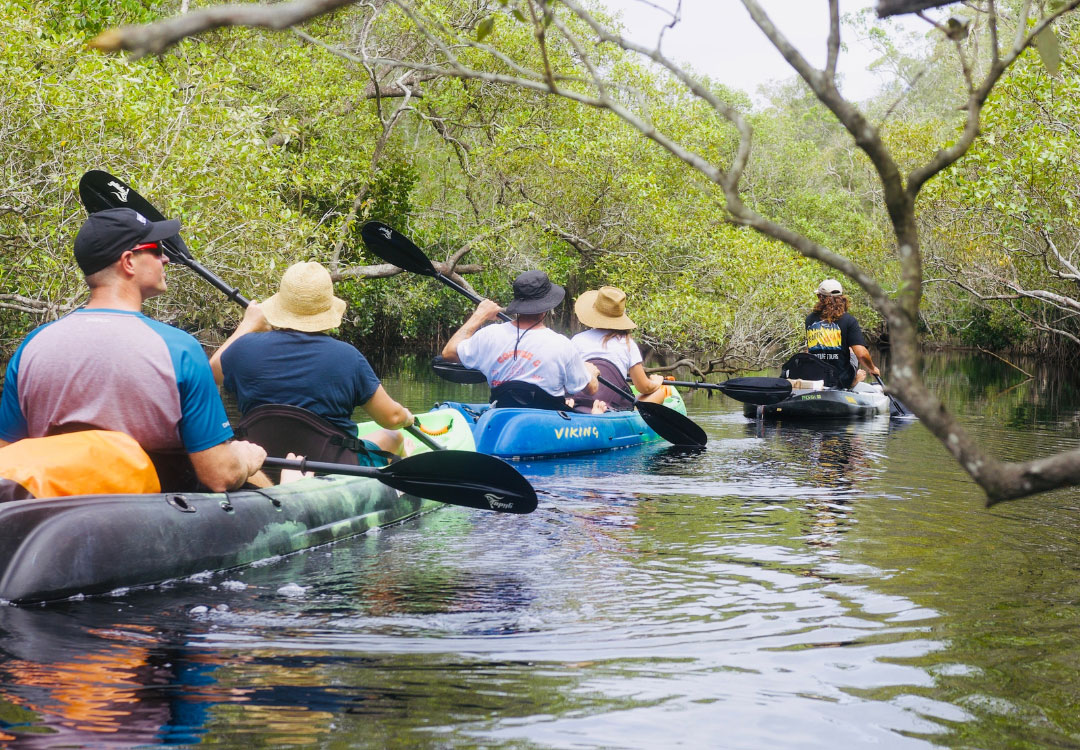 Everglades Kayak Tour