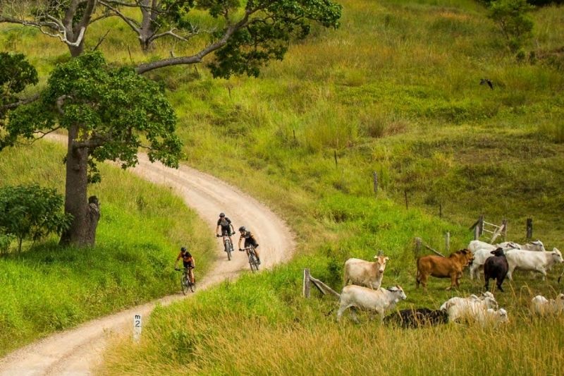 E-Mountain Bike Tours