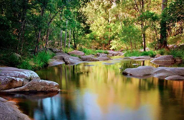 Mothar Mountain Rockpools