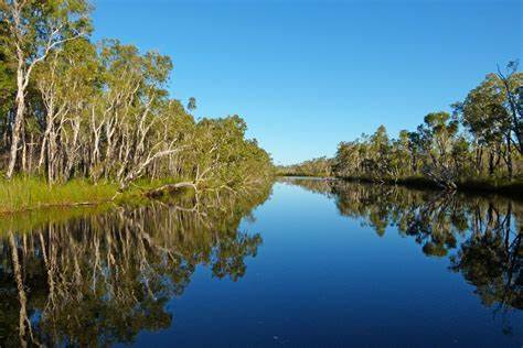Noosa Everglades