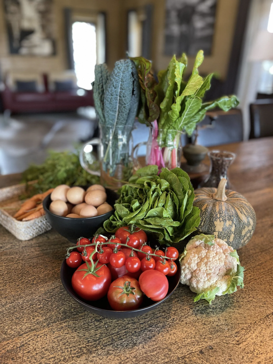 Just-picked vegetables and eggs on the farm table