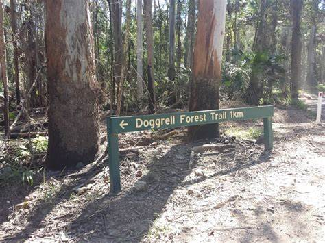 Doggrell Forest Walk