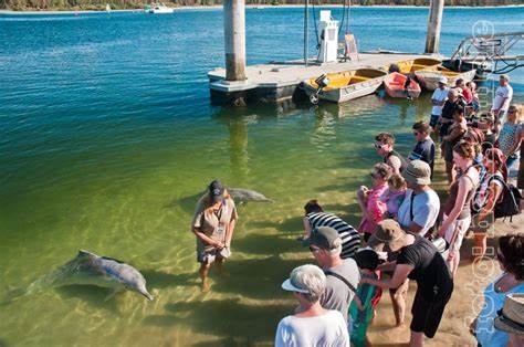 Tin Can Bay
